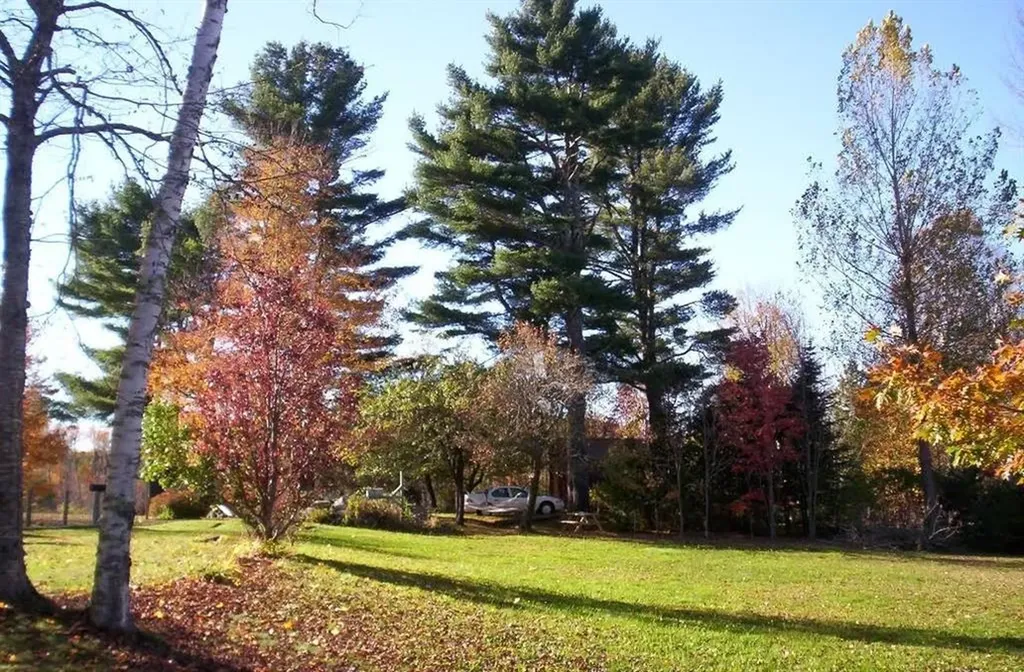 317 North Searsport Road Swanville ME 04915