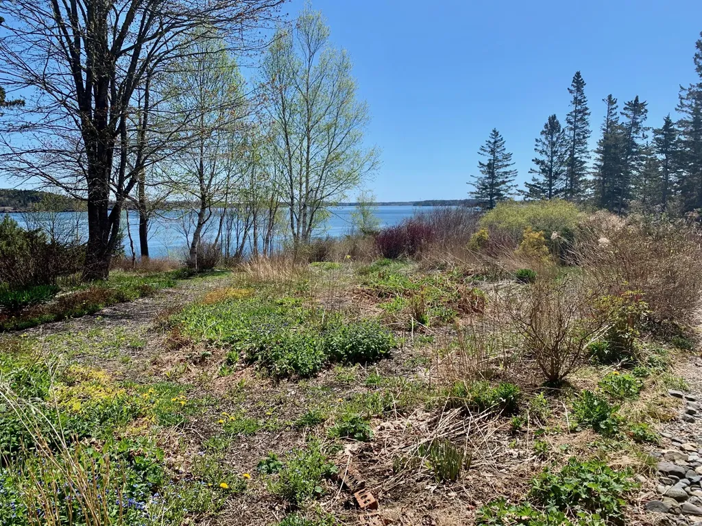 957 N Lubec Road Lubec ME 04652