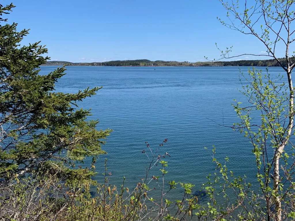 957 N Lubec Road Lubec ME 04652