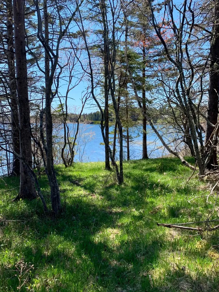 957 N Lubec Road Lubec ME 04652