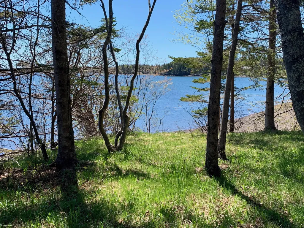 957 N Lubec Road Lubec ME 04652