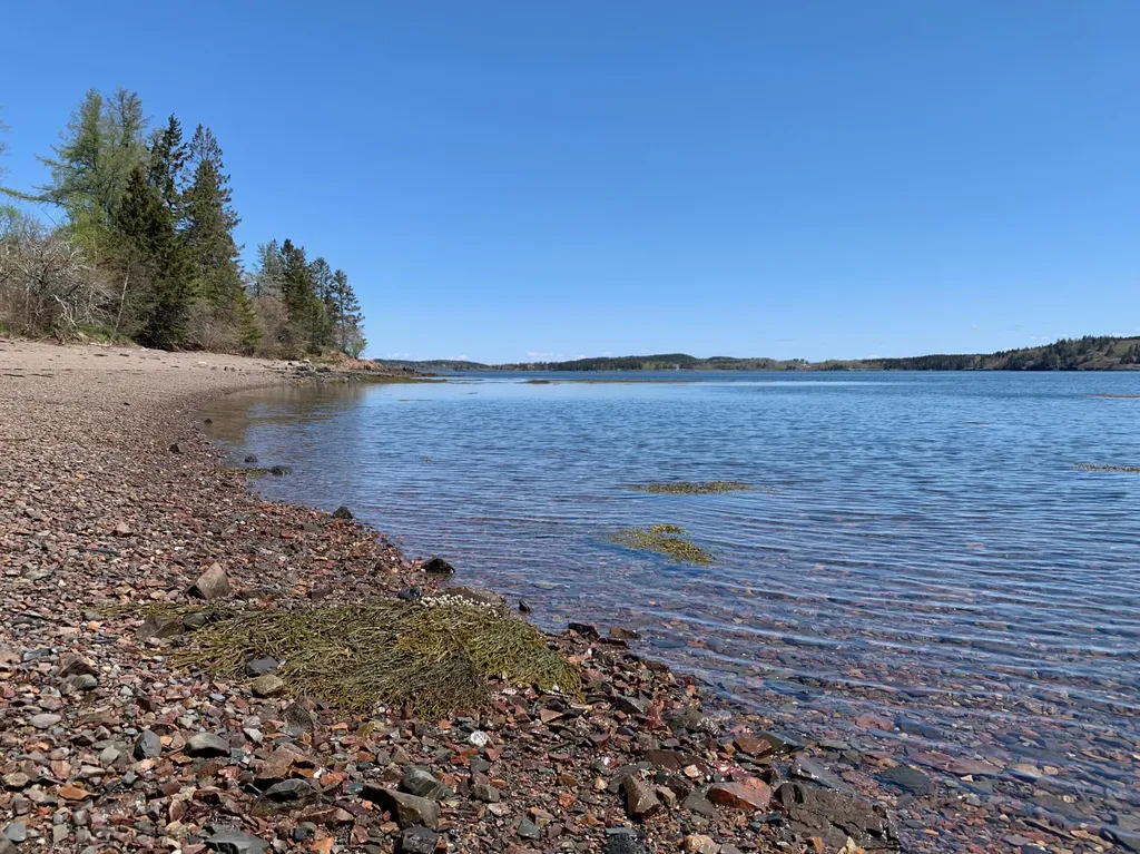 957 N Lubec Road Lubec ME 04652