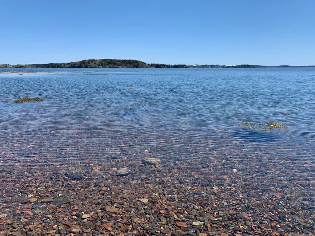 957 N Lubec Road Lubec ME 04652