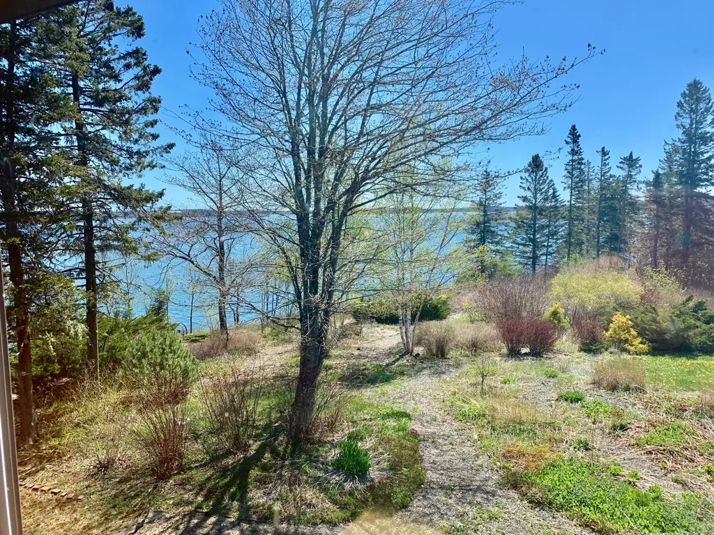 957 N Lubec Road Lubec ME 04652