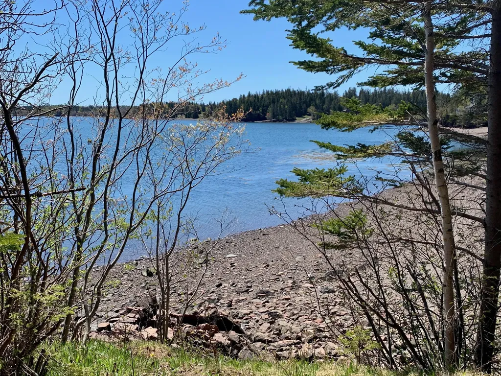 957 N Lubec Road Lubec ME 04652