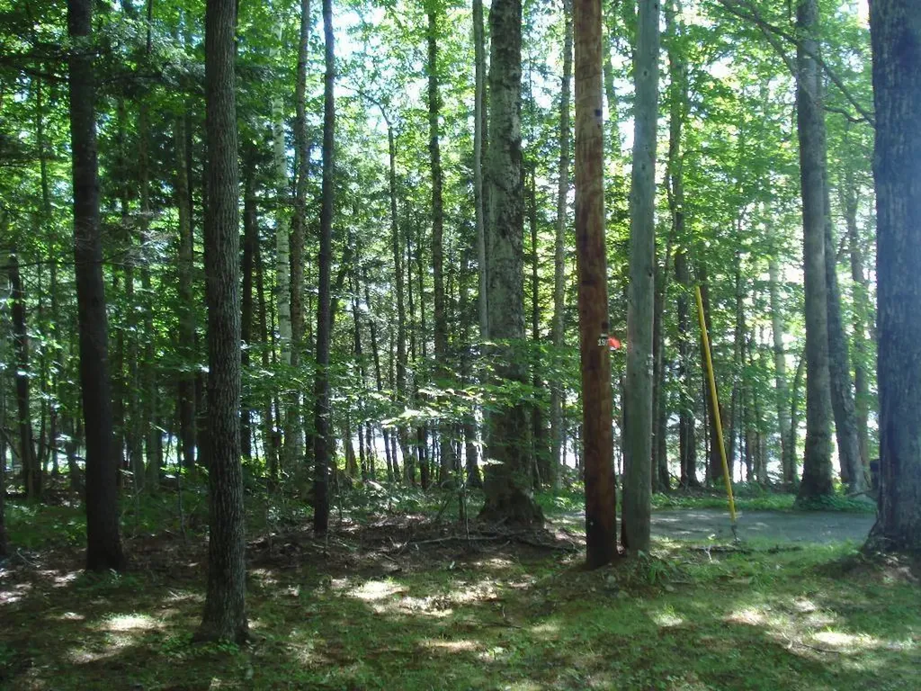 Lot 2 & 4 Pond Road Sidney ME 04330