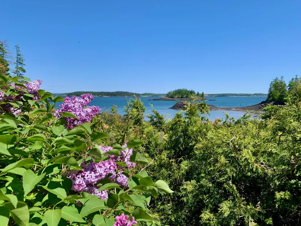 599 North Lubec Road Lubec ME 04652