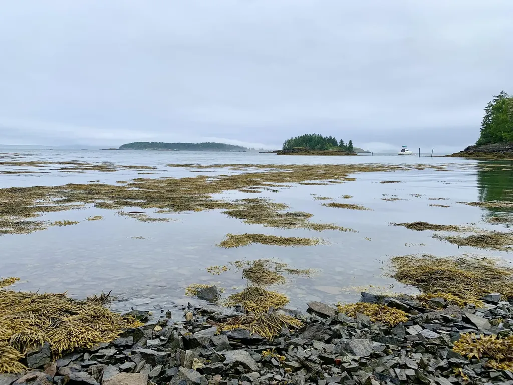 599 North Lubec Road Lubec ME 04652