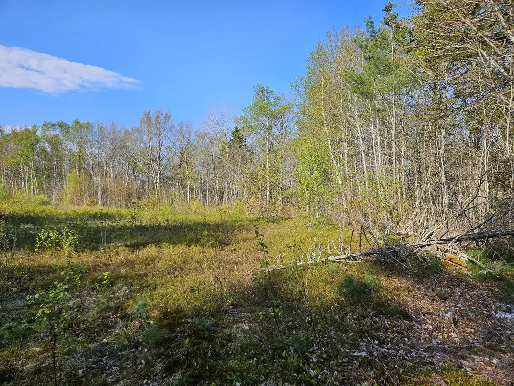 00 Mann Hill Road Dedham ME 04429