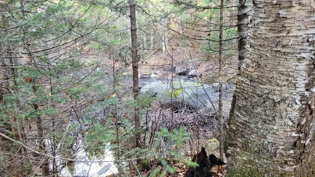 Lot 11 Fox Run Mariaville ME 04605
