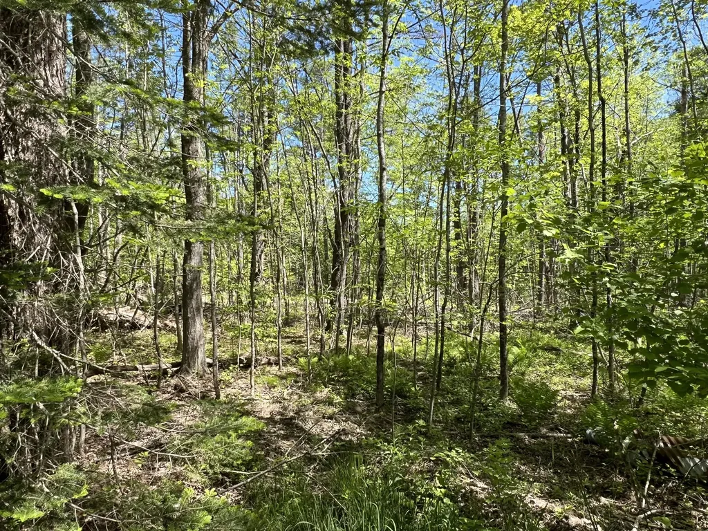 Lot A-1 Cathedral Pines Road Damariscotta ME 04543
