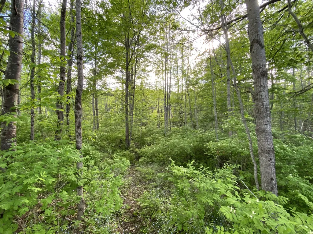 342 River Road Edgecomb ME 04556