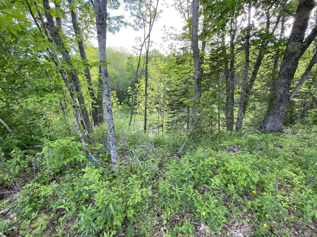 342 River Road Edgecomb ME 04556