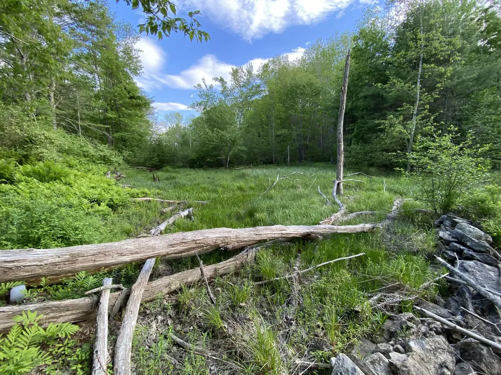 342 River Road Edgecomb ME 04556