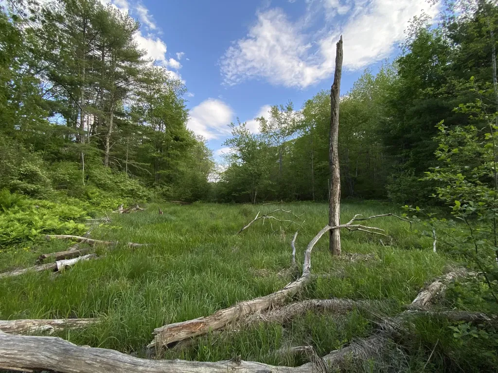 342 River Road Edgecomb ME 04556