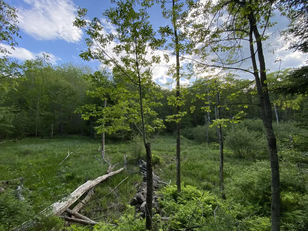 342 River Road Edgecomb ME 04556