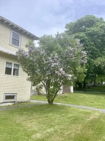 27 N Wiggin Street Greenville ME 04441