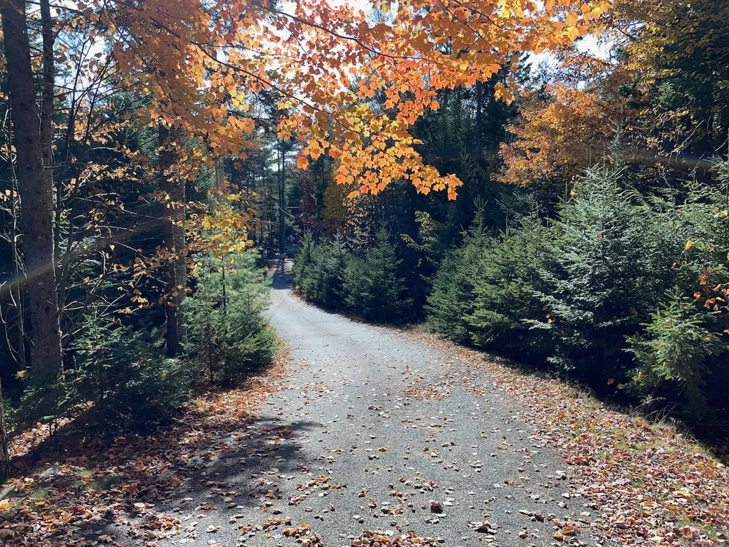 21 Whitney Farm Road Mount Desert ME 04660