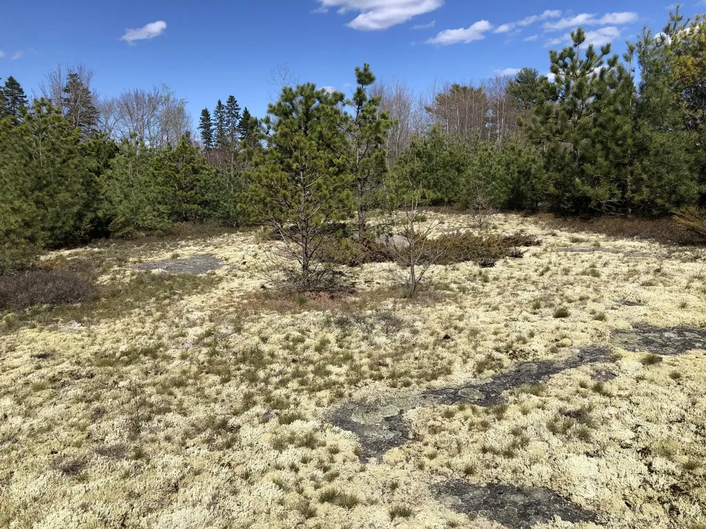 365 Coastal Road Brooksville ME 04617