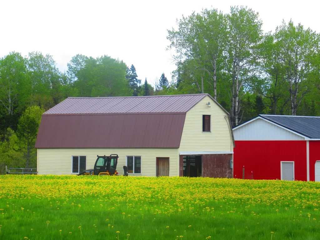 949 Rista Road New Sweden ME 04762