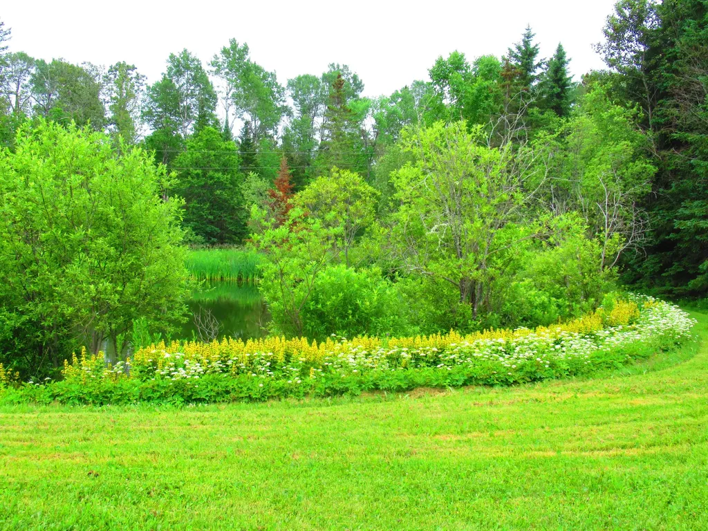 949 Rista Road New Sweden ME 04762