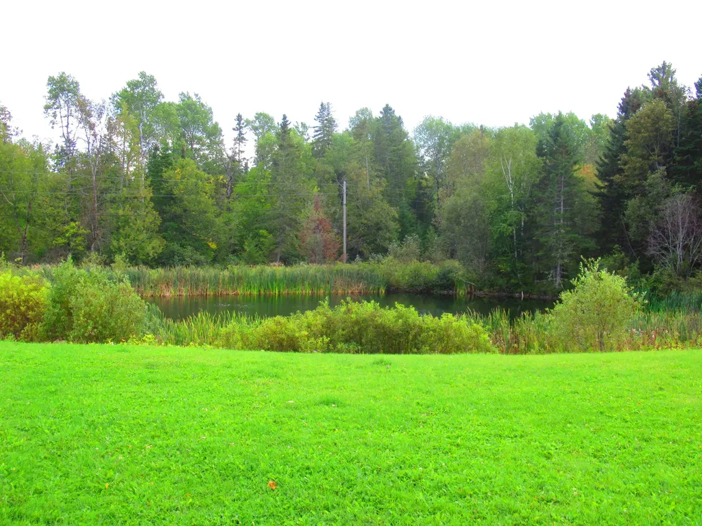 949 Rista Road New Sweden ME 04762