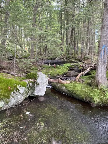 25 Boulder Lane Lincoln ME 04457