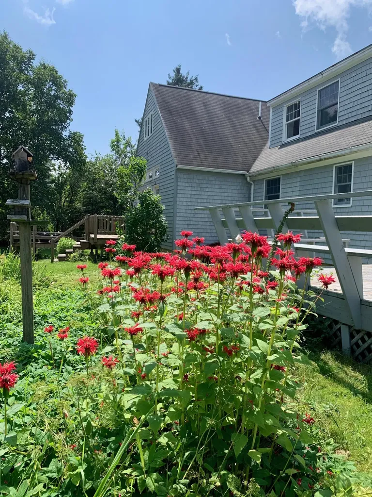 270 Shattuck Road Calais ME 04619