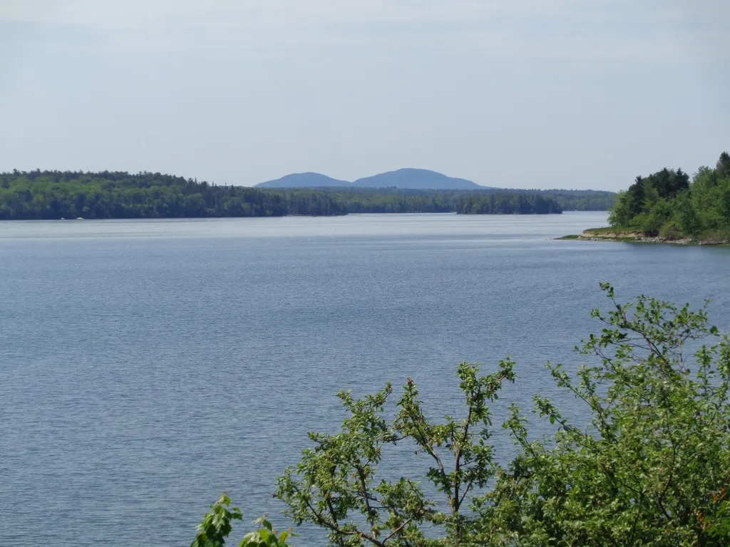 55 Fox Run Lamoine ME 04605
