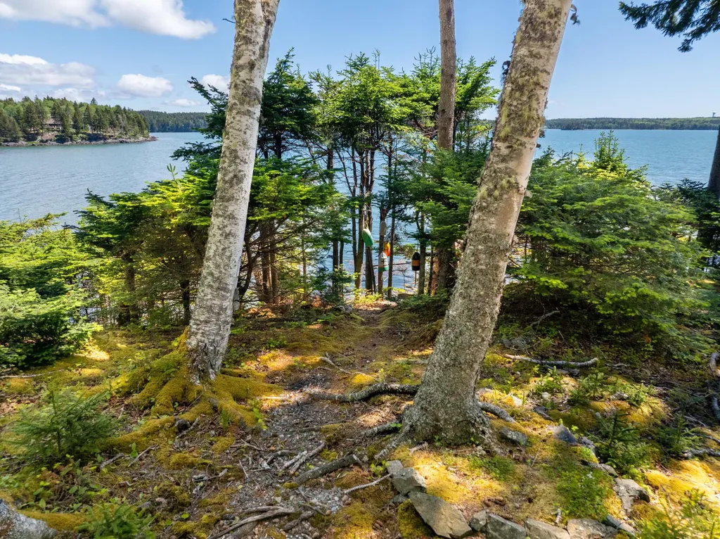 576 Duck Cove Road Roque Bluffs ME 04654