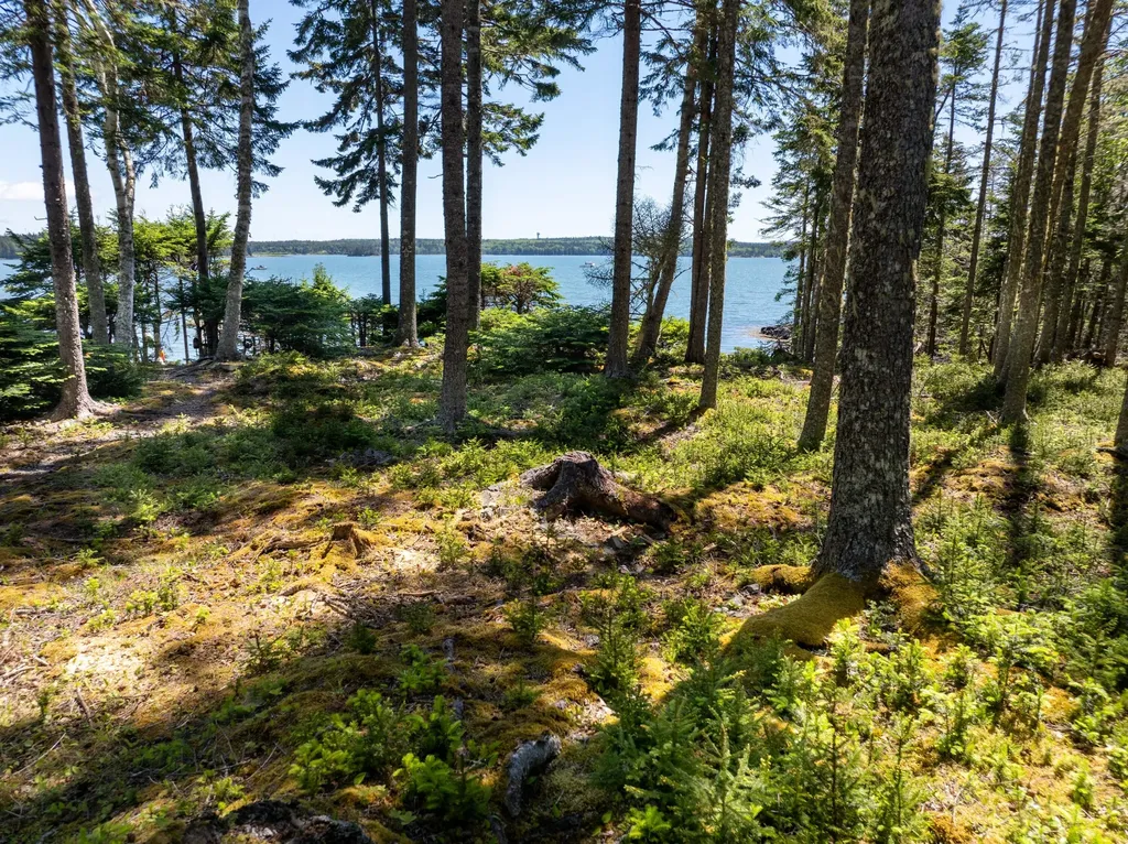 576 Duck Cove Road Roque Bluffs ME 04654