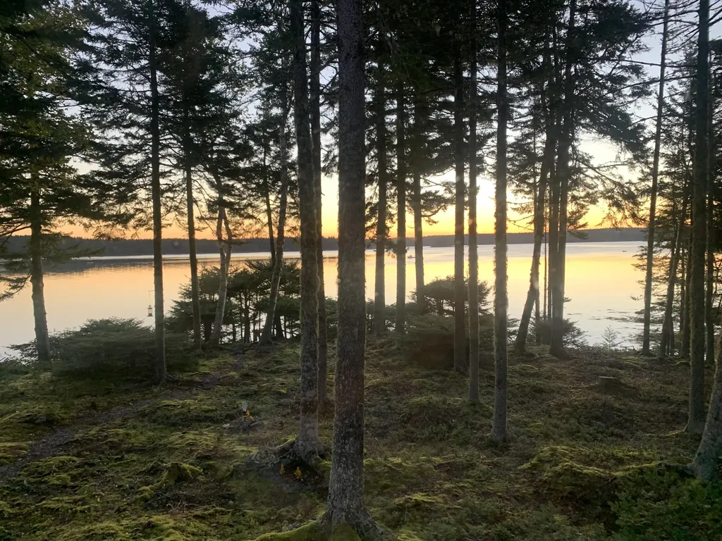 576 Duck Cove Road Roque Bluffs ME 04654