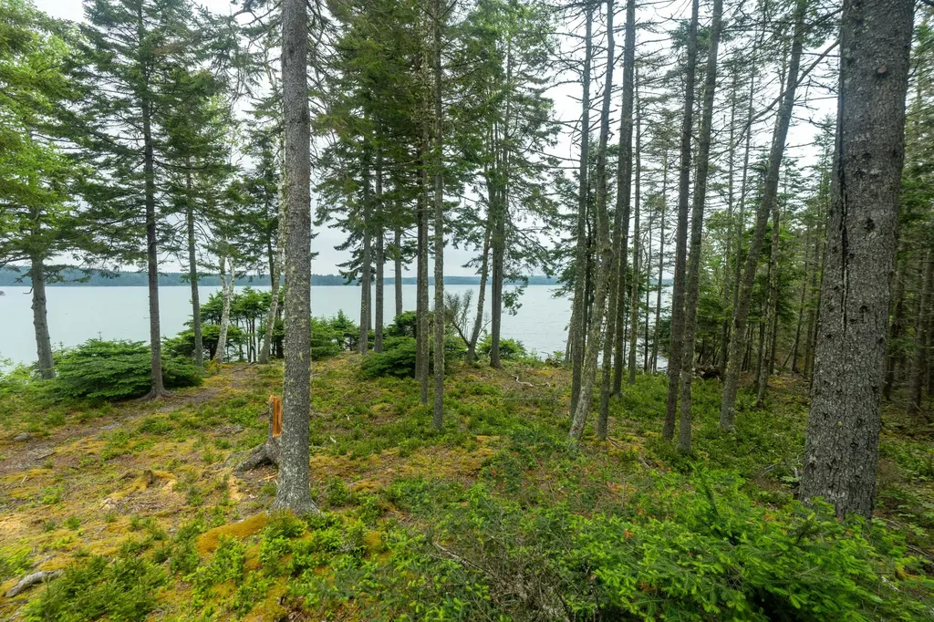 576 Duck Cove Road Roque Bluffs ME 04654