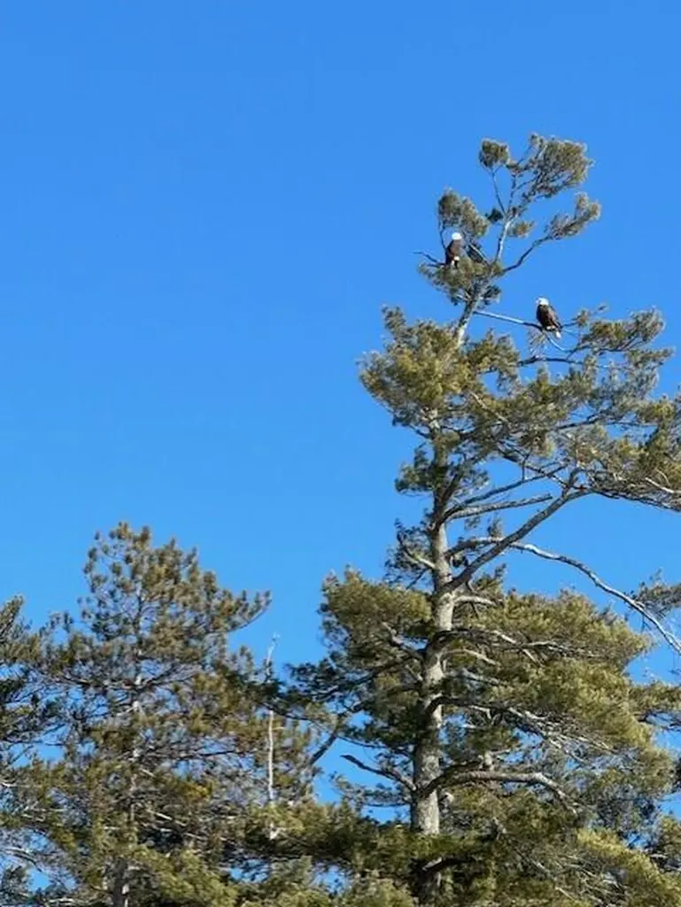 3 Panther Pond Pines Road Raymond ME 04071