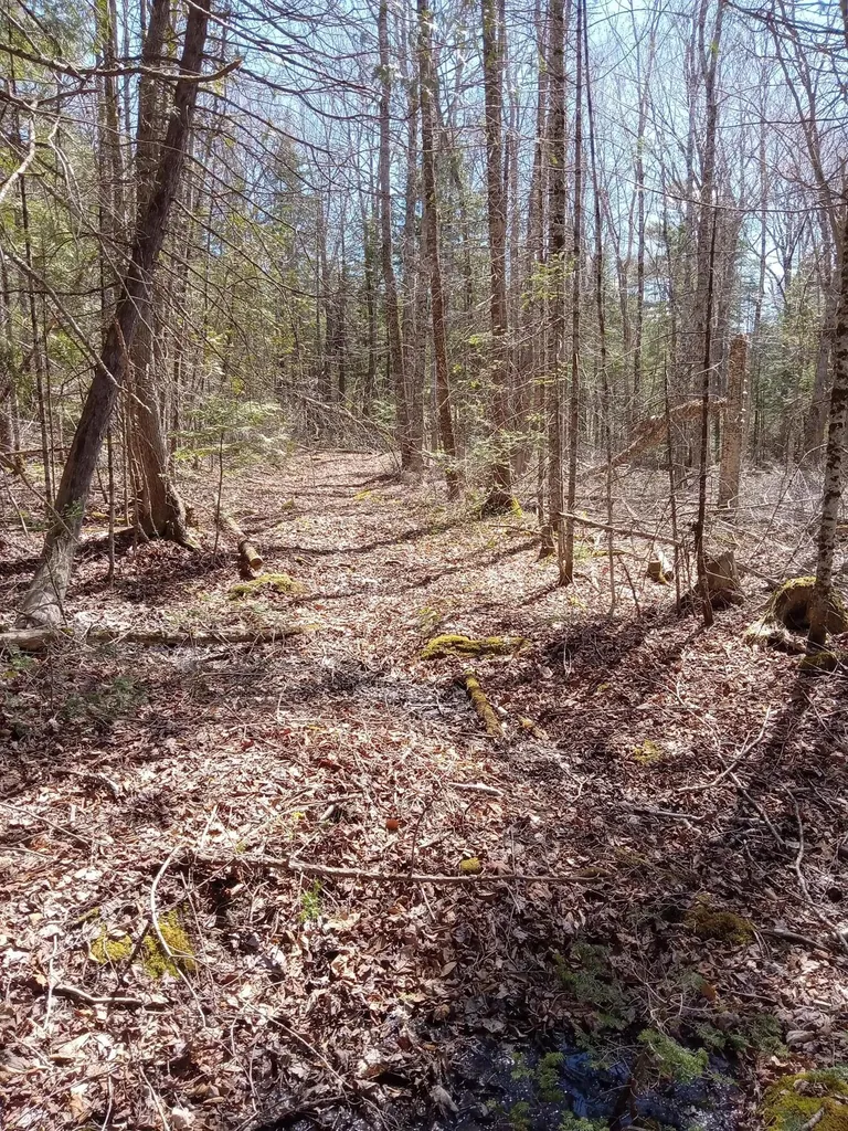 132 Village Road Jackson ME 04921