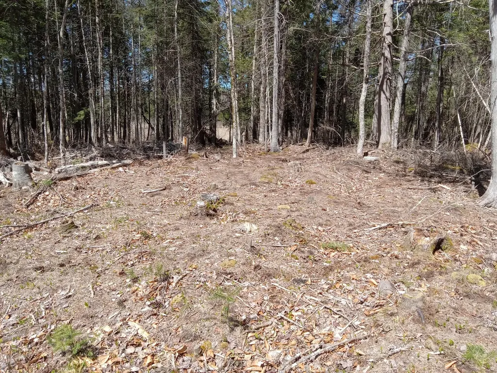 132 Village Road Jackson ME 04921