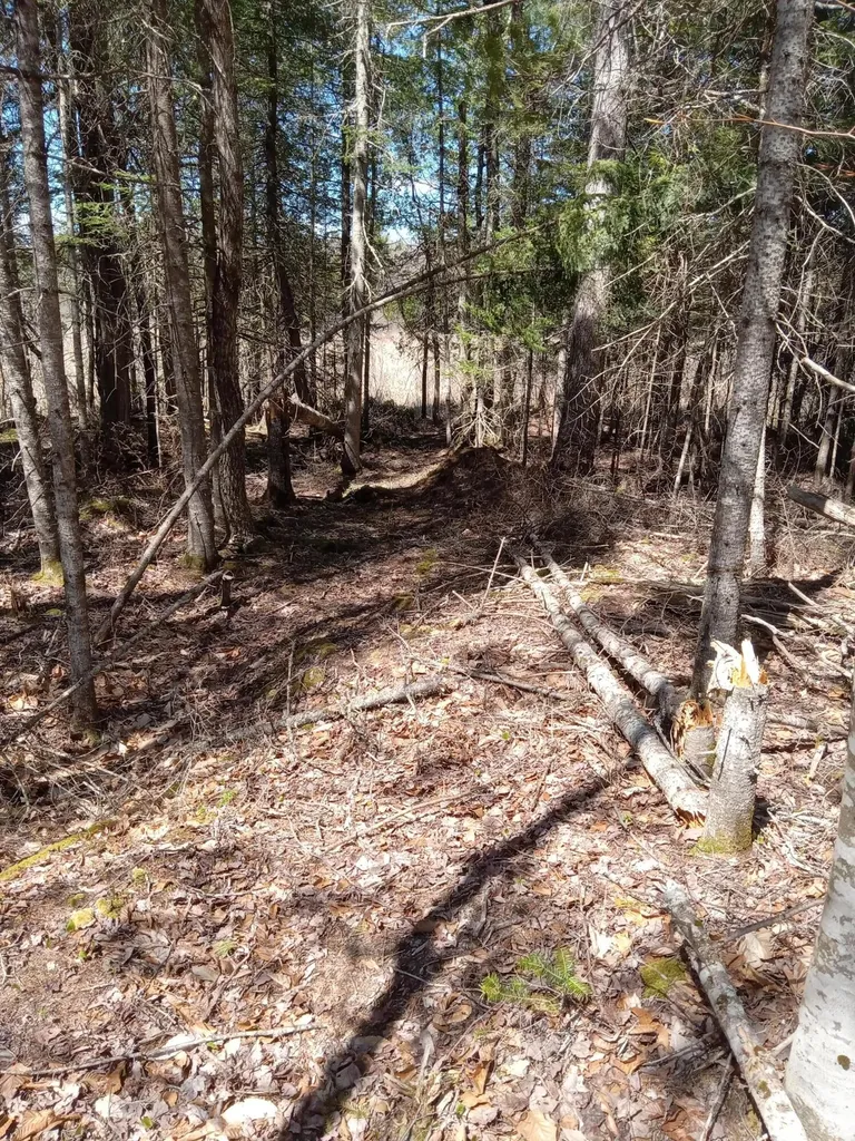 132 Village Road Jackson ME 04921