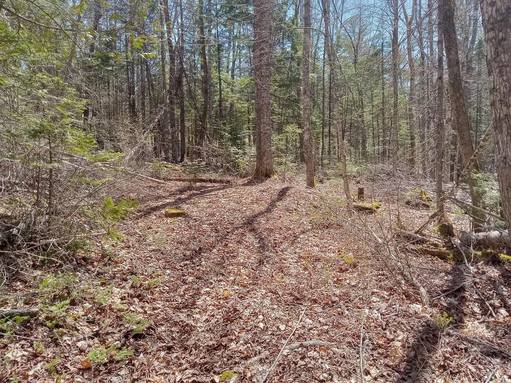 132 Village Road Jackson ME 04921