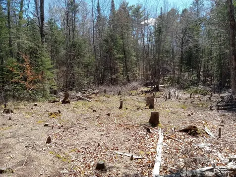 132 Village Road Jackson ME 04921