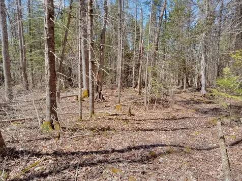 132 Village Road Jackson ME 04921