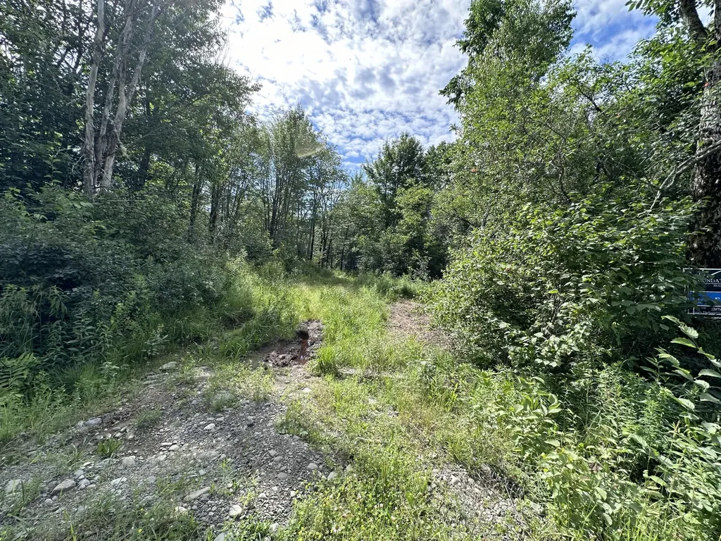 M1L75A South Lagrange Road Lagrange ME 04453