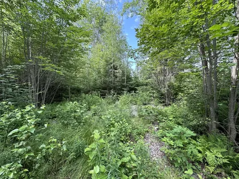 M1L75A South Lagrange Road Lagrange ME 04453