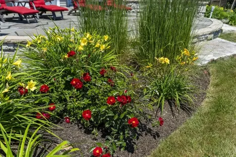 36 Wharf Road Boothbay ME 04537