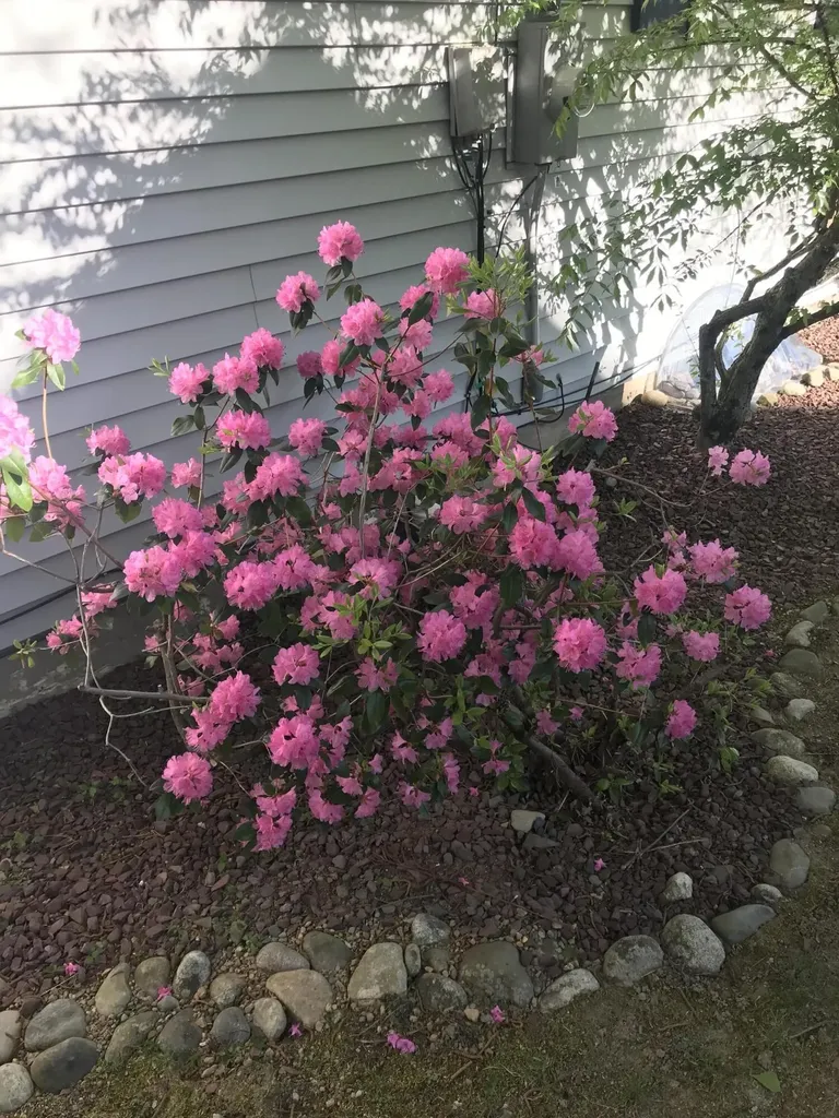 71 Central Street Hallowell ME 04347