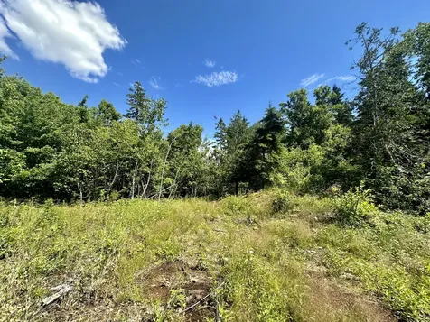 374 Youngs Cove Road Pembroke ME 04666