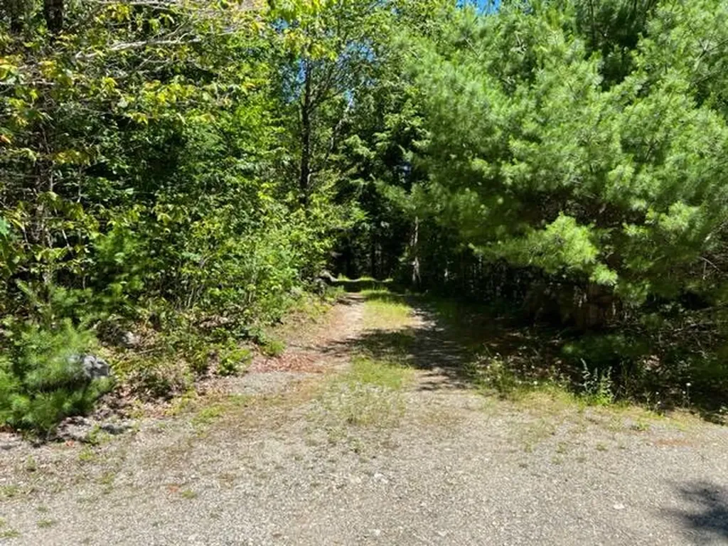 28 Cottage Lane Orland ME 04472