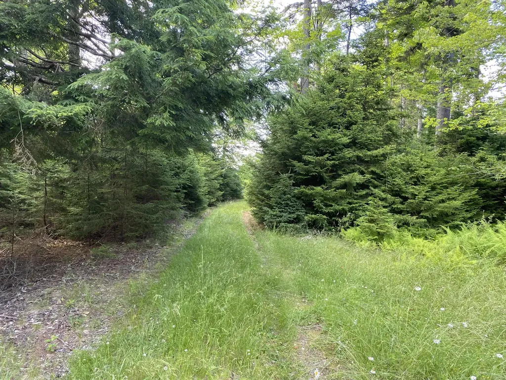 2Q Hermit's Point Road Islesboro ME 04848