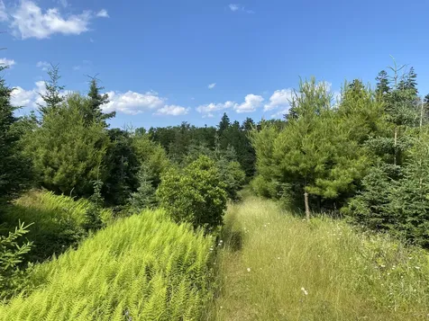 2Q Hermit's Point Road Islesboro ME 04848