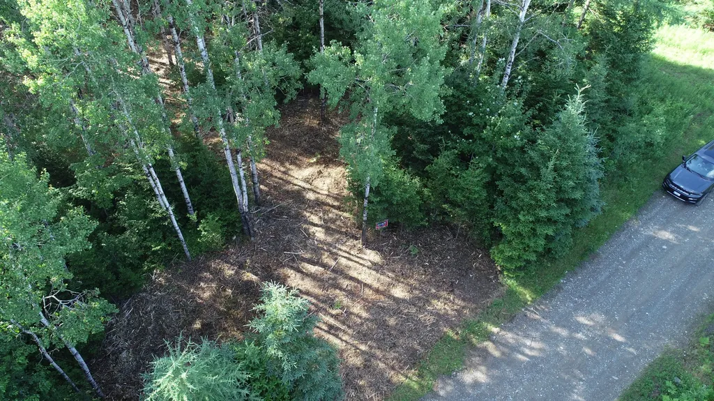 Lot 39 Smith (HANEY) Road Cary Plt ME 04471