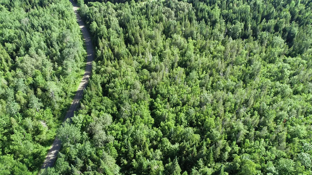 Lot 39 Smith (HANEY) Road Cary Plt ME 04471